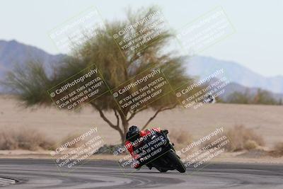 media/Nov-30-2025-TrackXperience (Sun) [[c0061d280f]]/2-Level 2/Session 6 Turn 4 Tree of Life/